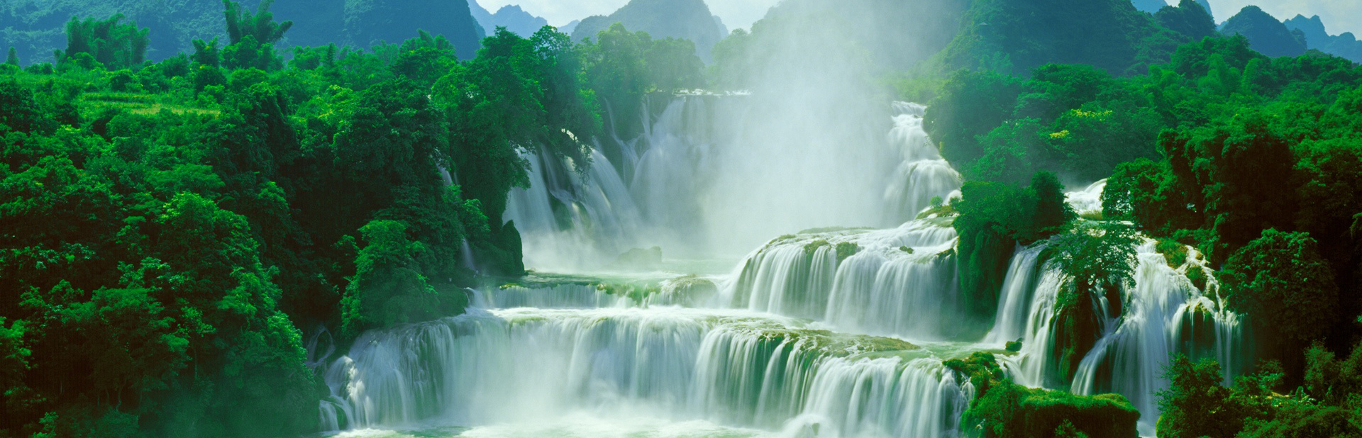 以林为本，绿利共生