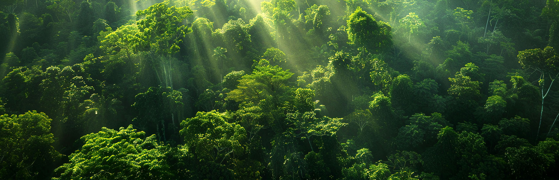 陕西旬阳林投发展集团有限公司